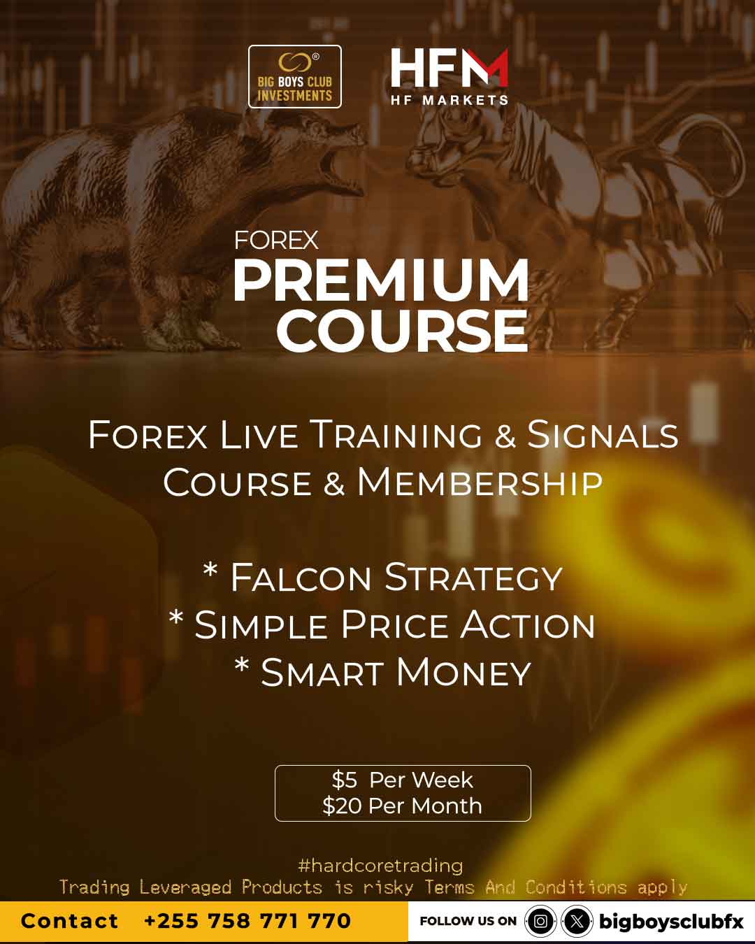 Forex Bulls Product Image